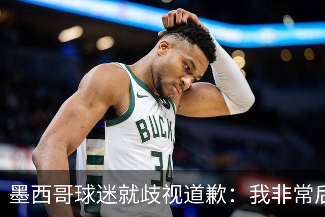 墨西哥球迷就歧视道歉：我非常后悔，已辞去工程师协会职务